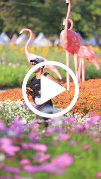 BIB:  <button type="button" onclick="openModal(27588536)" class="btn btn-primary btn-sm float-right" data-toggle="modal" data-target=".modal-high-quality">
                <i class="fa fa-download"></i> Download
                </button>